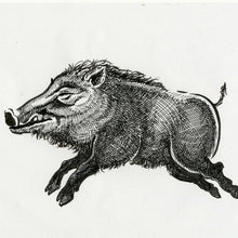 画像をギャラリービューアに読み込む, 奄美大島 宇検村発!奄美のリュウキュウイノシシを使った極上イノシシスパイスカレー!【2個セット♪】『高級』黒のシリーズ!